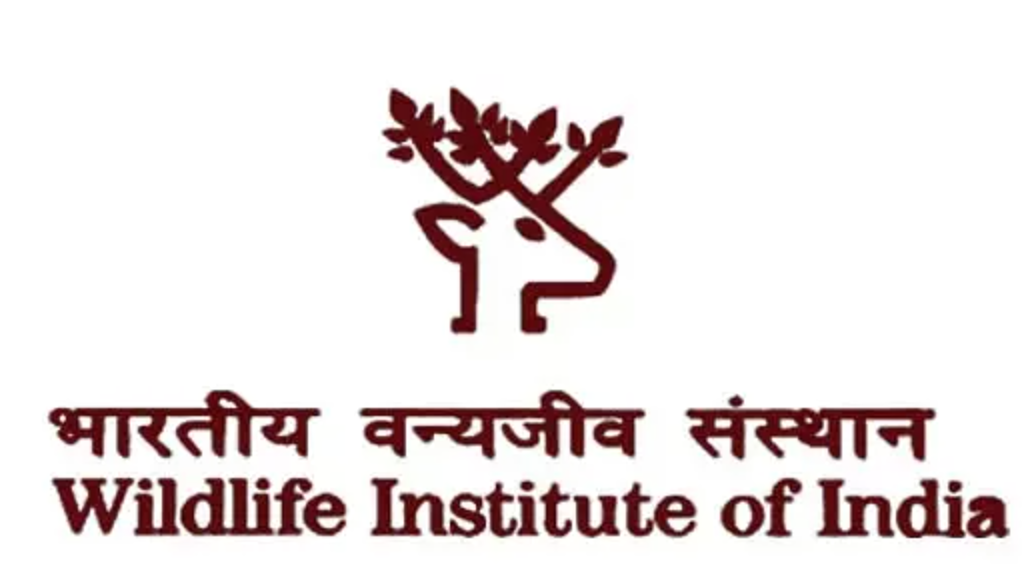 WII-Wildlife Institute of India Recruitment October 2021